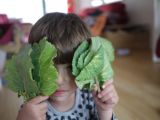 5 Tips for Encouraging Toddlers to Eat Vegetables